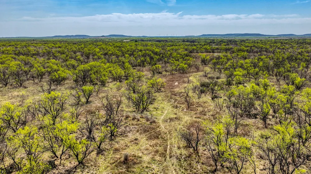 5600 Roney Road Jermyn, TX 76459