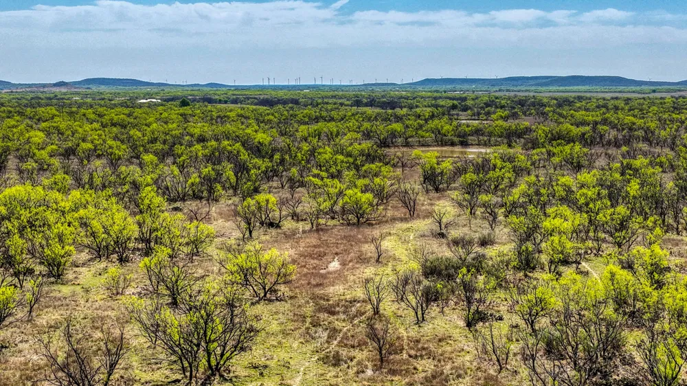 5600 Roney Road Jermyn, TX 76459