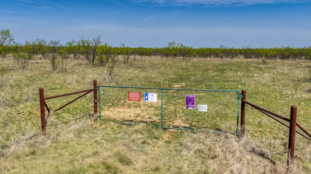 5600 Roney Road Jermyn, TX 76459