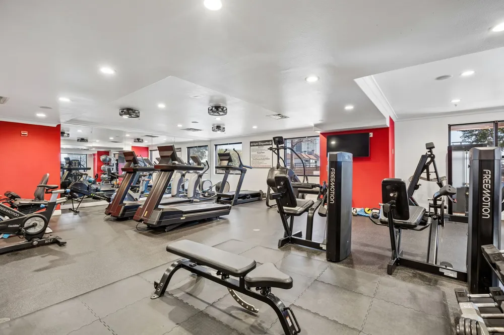 330 Las Colinas Boulevard E #1302 Irving, TX 75039