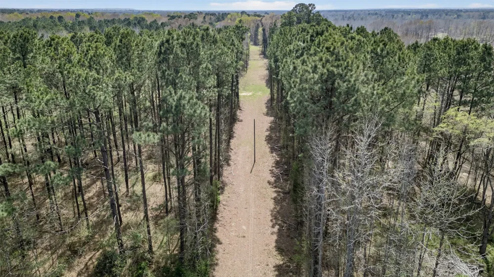 County Road 3612 Jefferson, TX 75657