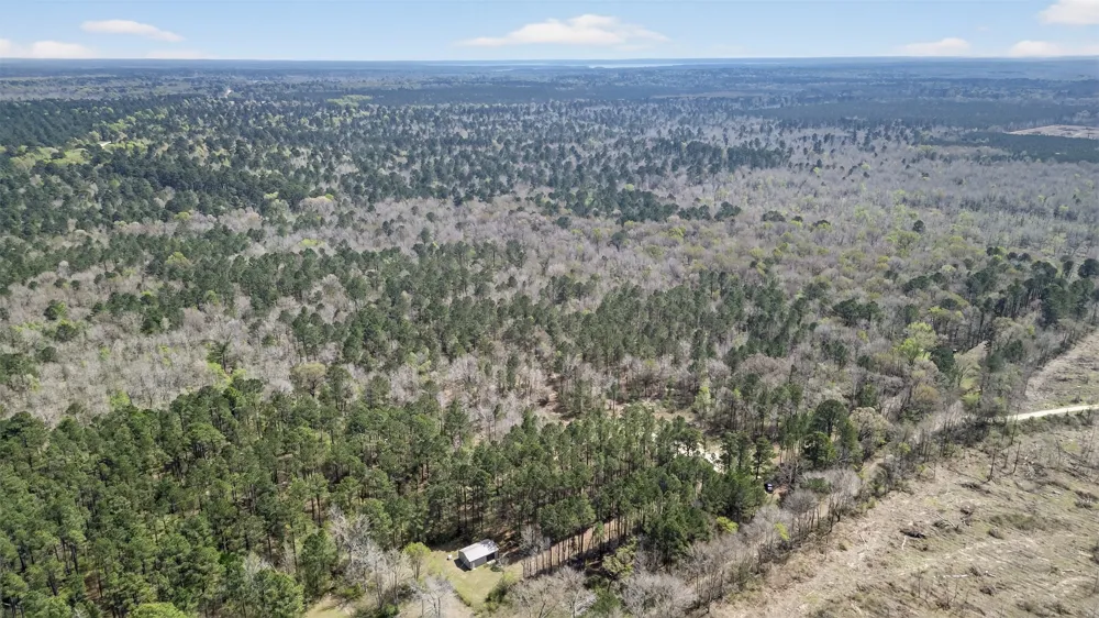 County Road 3612 Jefferson, TX 75657
