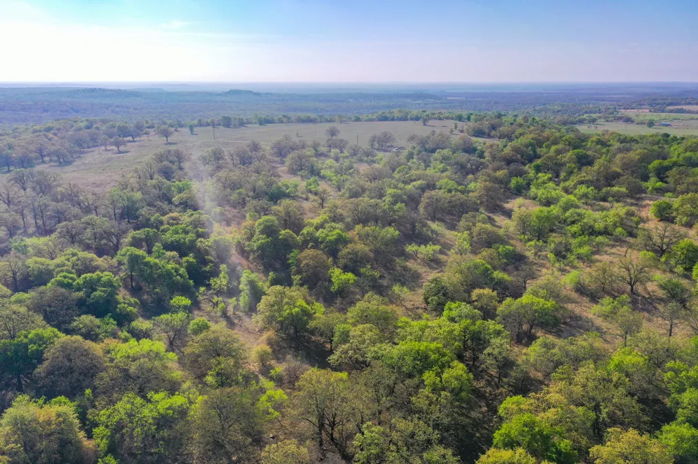 2688 FM 2190 Jacksboro, TX 76458