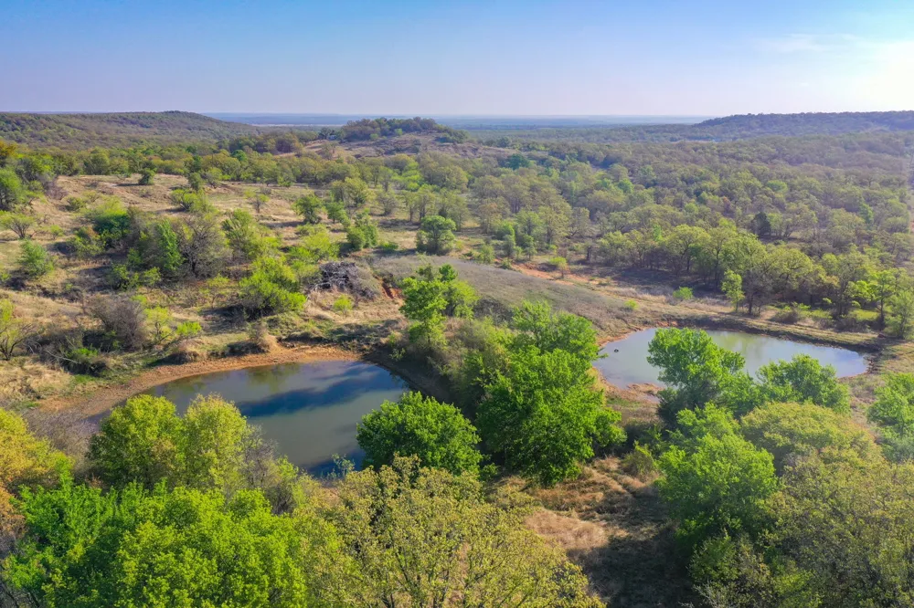 2688 FM 2190 Jacksboro, TX 76458
