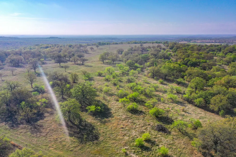 2688 FM 2190 Jacksboro, TX 76458