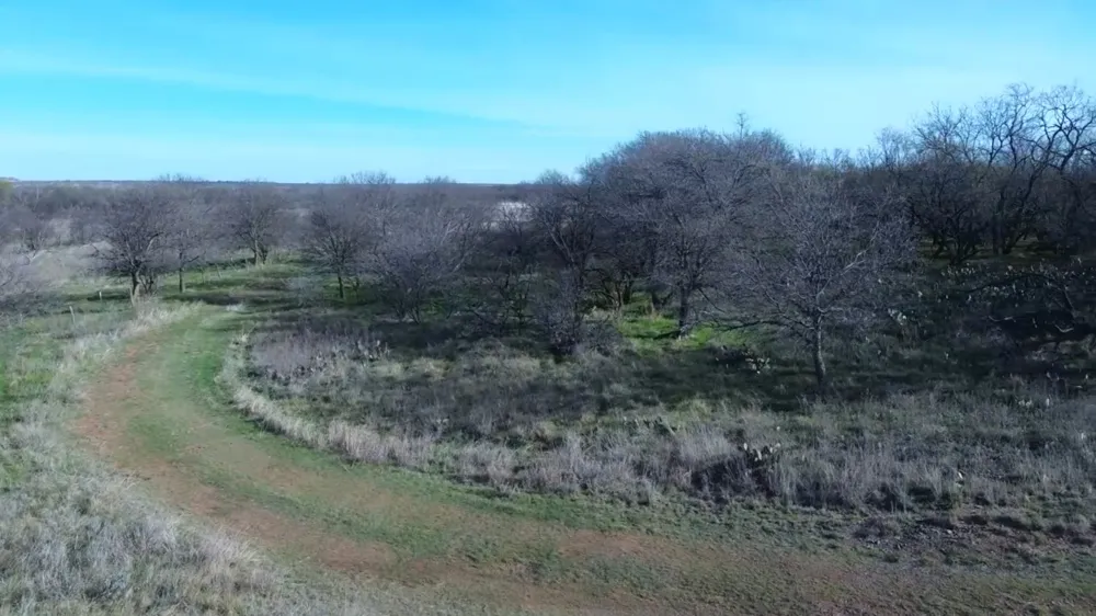 Knox County Road Archer City, TX 76351