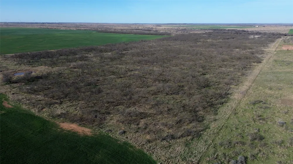 Knox County Road Archer City, TX 76351