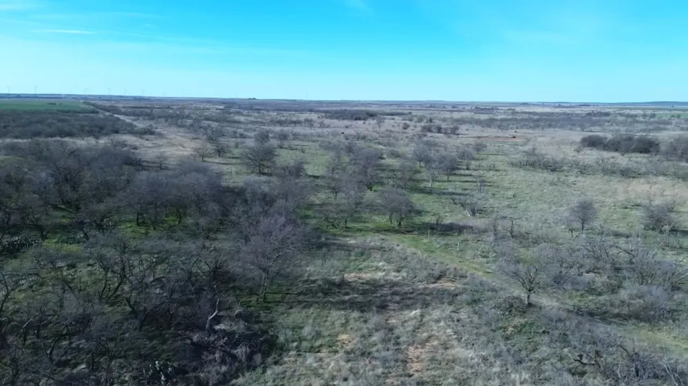 Knox County Road Archer City, TX 76351