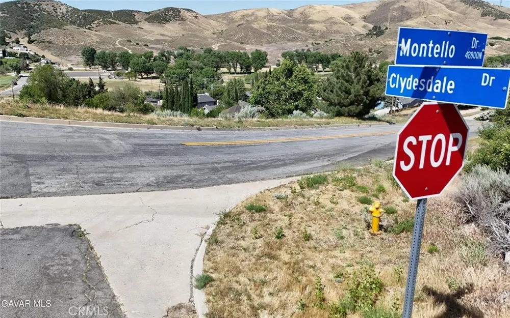 Montello Drive Lake Hughes, CA 93532
