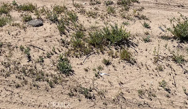 APN# 081-293-34-00-6 Ridgecrest, CA 93555