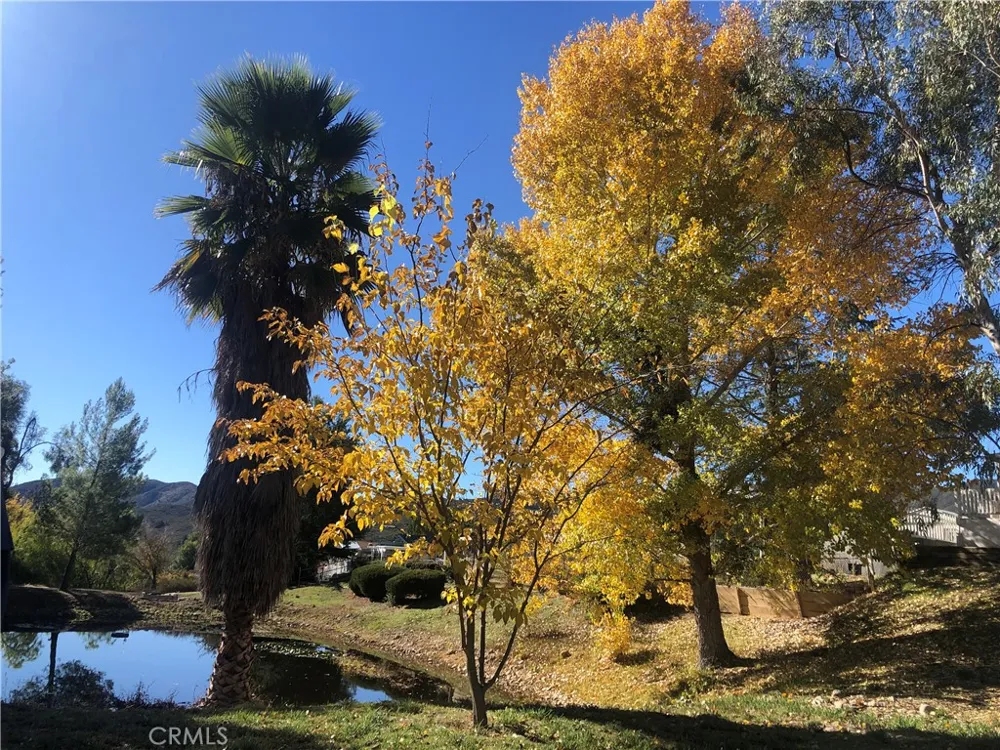 35109 Highway 79 #178 Warner Springs, CA 92086