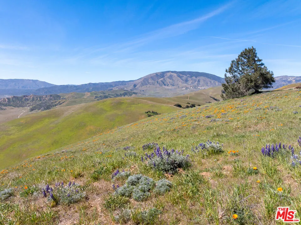 1 VAC VIC Gorman Post Rd Gorman, CA 93536
