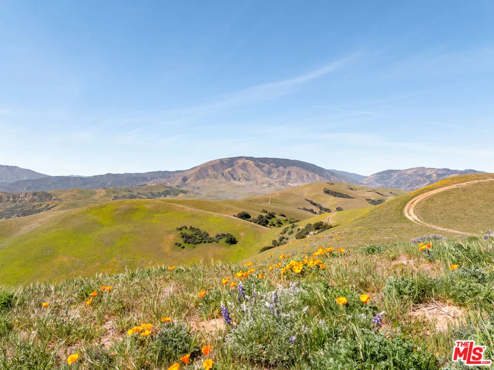 1 VAC VIC Gorman Post Rd Gorman, CA 93536