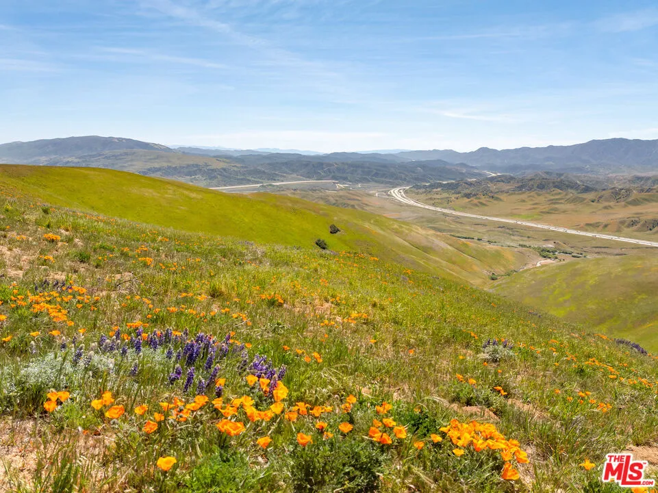1 VAC VIC Gorman Post Rd Gorman, CA 93536