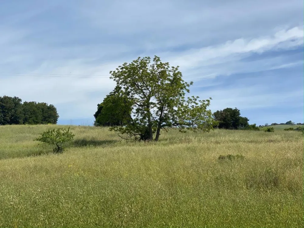 4152 E Aborn Road San Jose, CA 95135