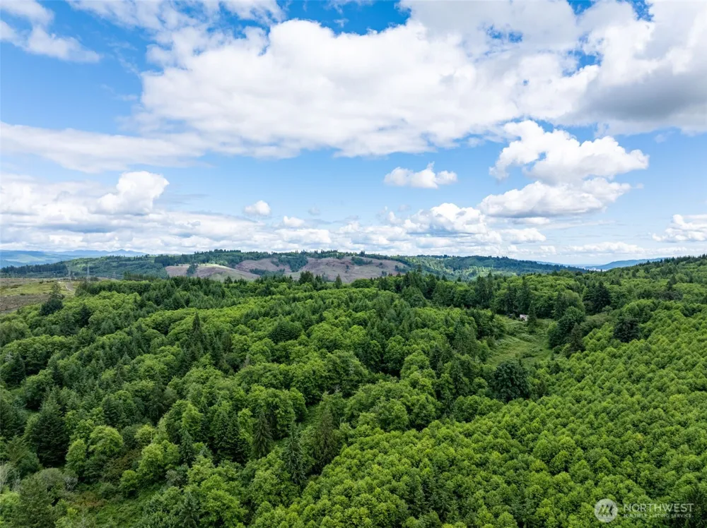 355 E Ragland Road Longview, WA 98632