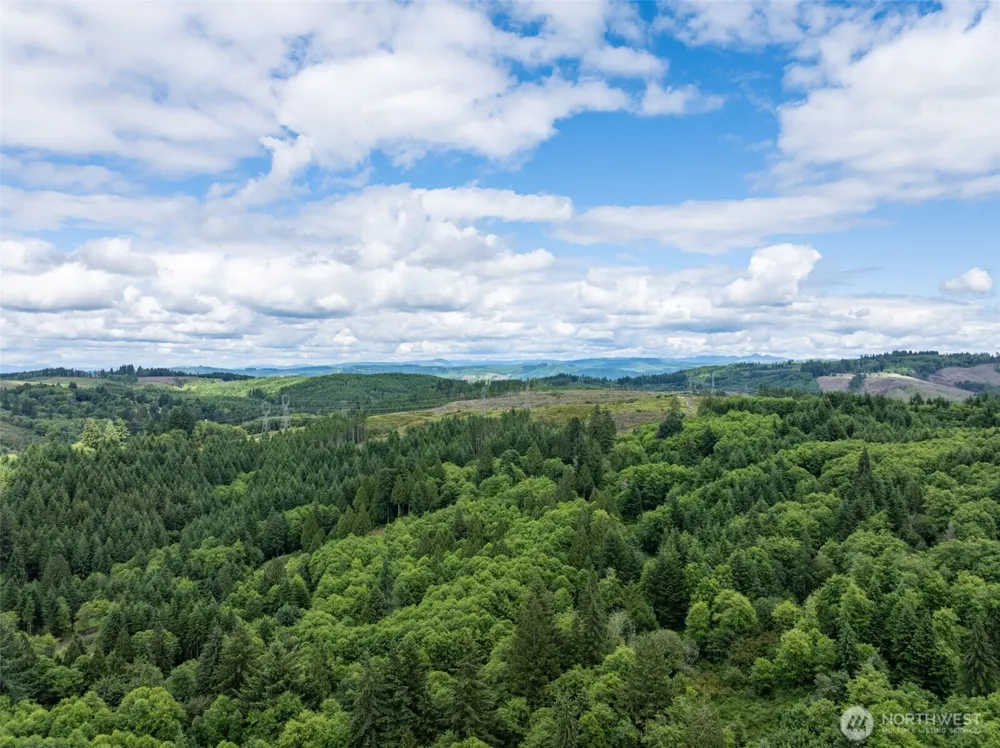 355 E Ragland Road Longview, WA 98632