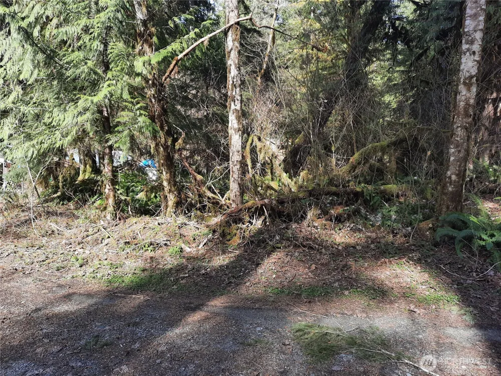 8535 Beaver Place Marblemount, WA 98267