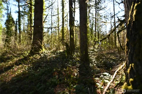0 Old Cascade Hwy