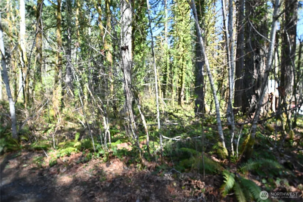 0 Old Cascade Hwy Skykomish, WA 98288