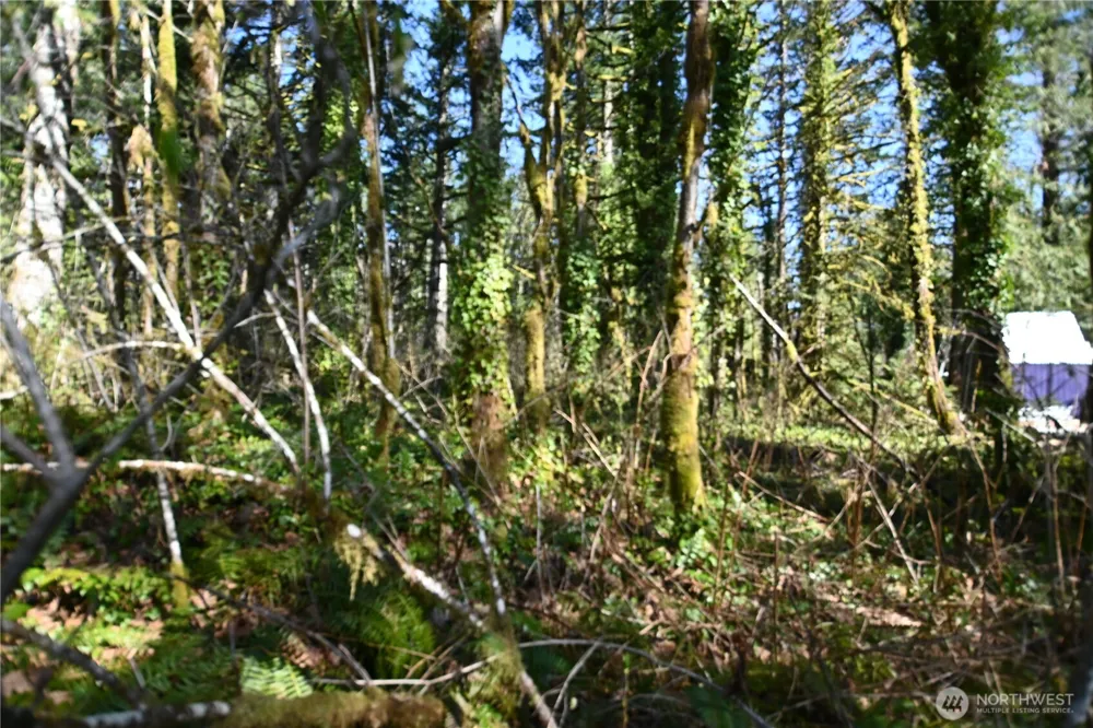 0 Old Cascade Hwy Skykomish, WA 98288