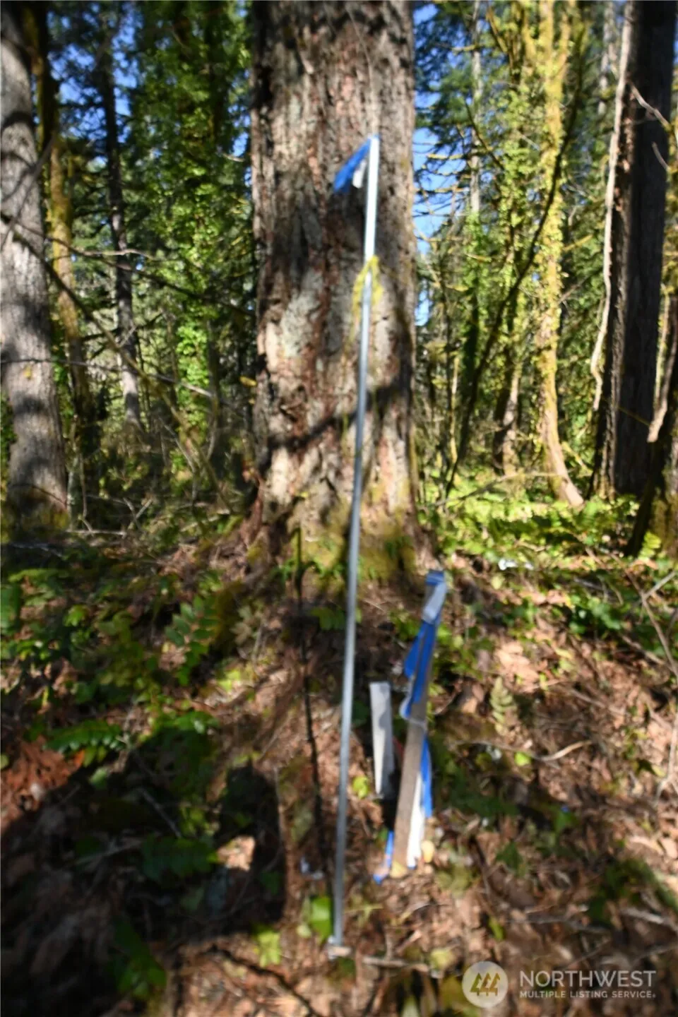 0 Old Cascade Hwy Skykomish, WA 98288