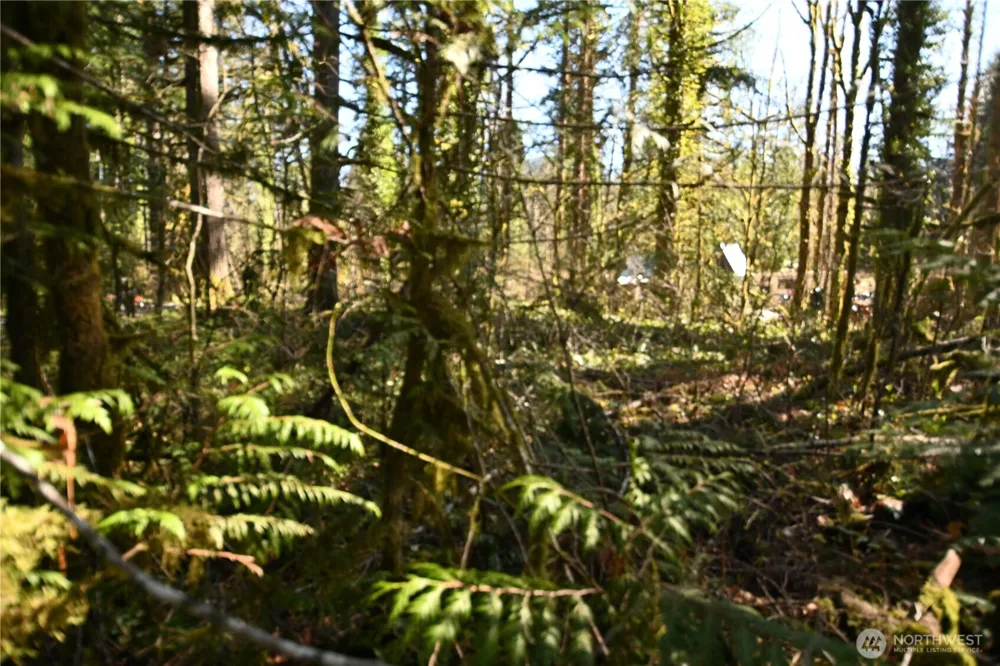 0 Old Cascade Hwy Skykomish, WA 98288