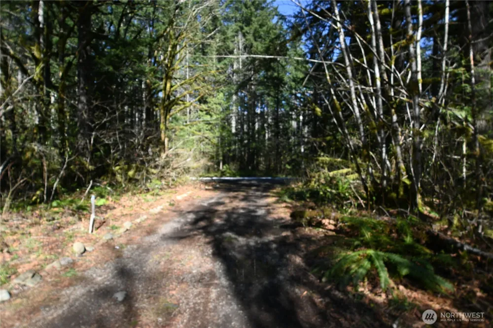0 Old Cascade Hwy Skykomish, WA 98288