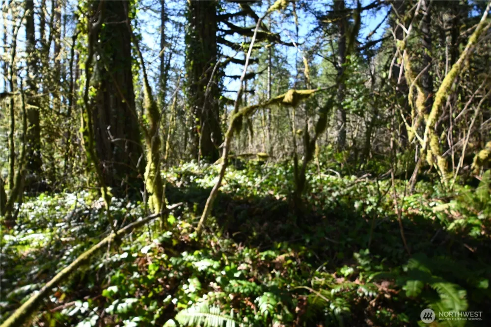 0 Old Cascade Hwy Skykomish, WA 98288