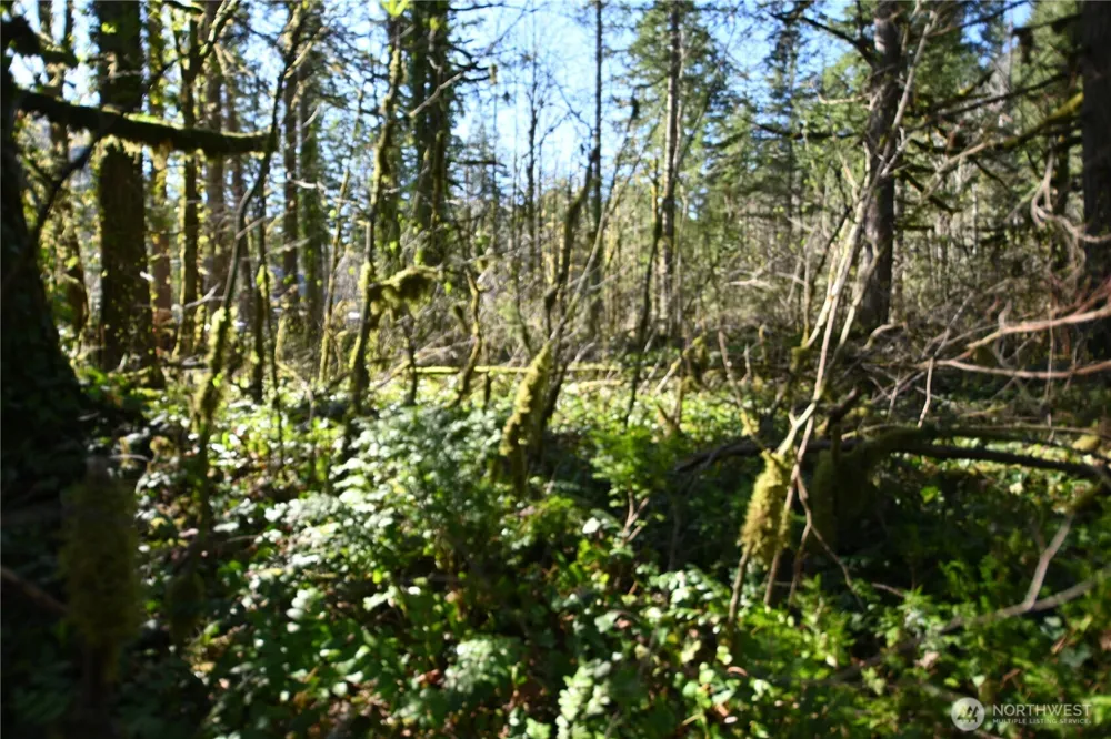 0 Old Cascade Hwy Skykomish, WA 98288