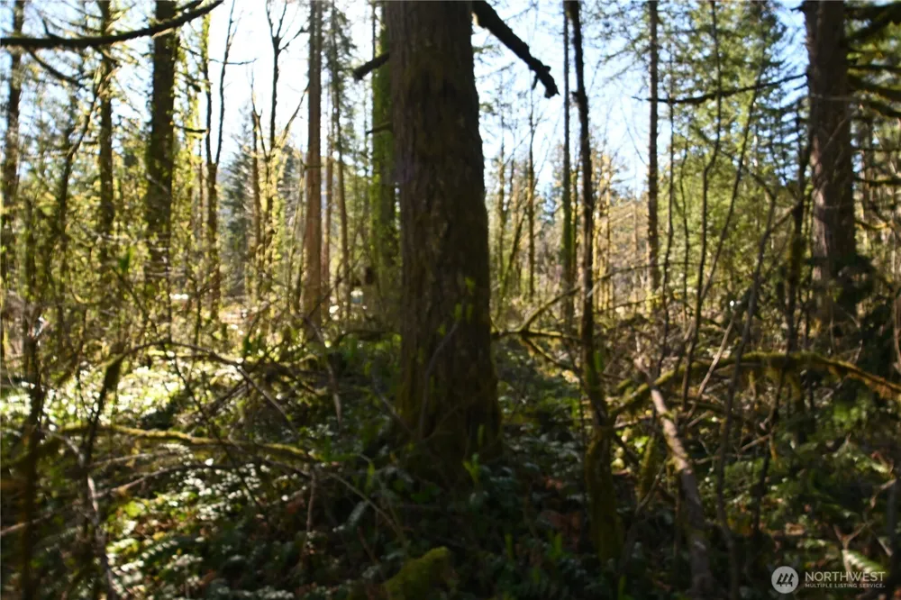 0 Old Cascade Hwy Skykomish, WA 98288