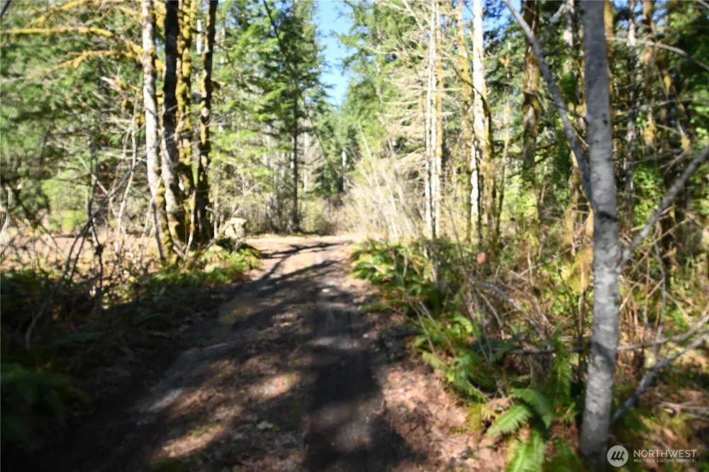0 Old Cascade Hwy Skykomish, WA 98288
