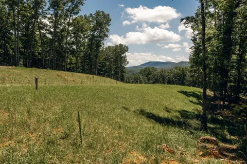 Lot 133 Ridges Of Blue Ridge