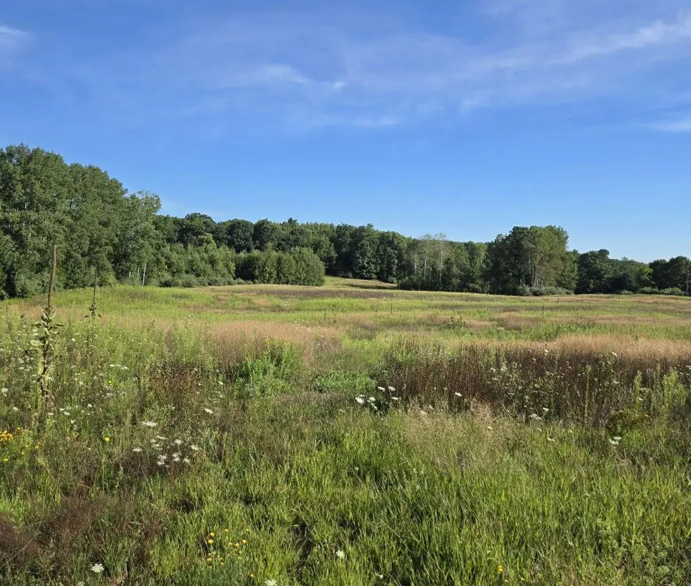 7202 21 Mile Road Evart, MI 49631