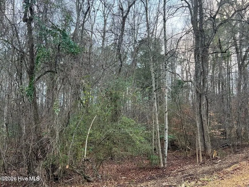 0 Sr 1100 Blounts Creek, NC 27814