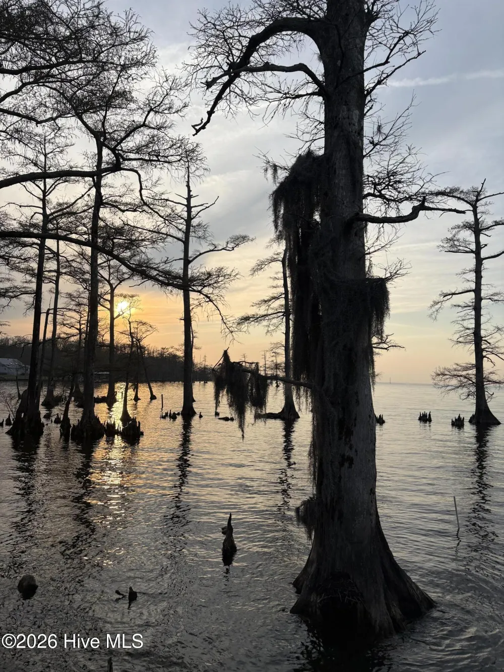 380 Beech Bay Road Roper, NC 27970