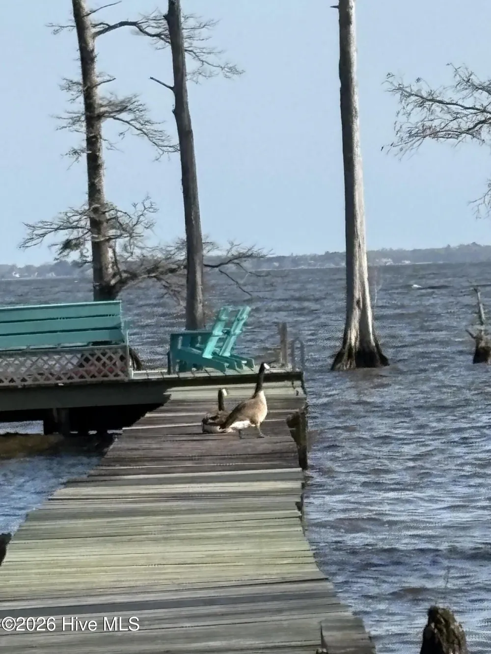 380 Beech Bay Road Roper, NC 27970