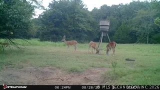21470 County Road 1590 Stonewall, OK 74871