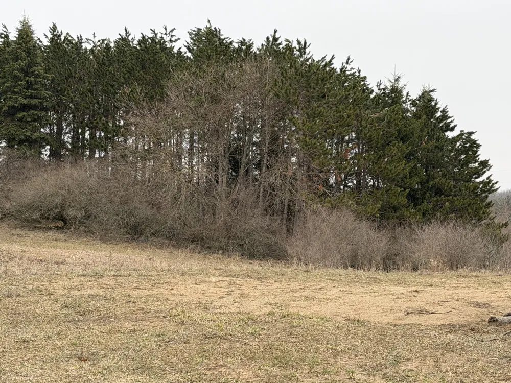 7202 21 Mile Road Chippewa Township, MI 49631