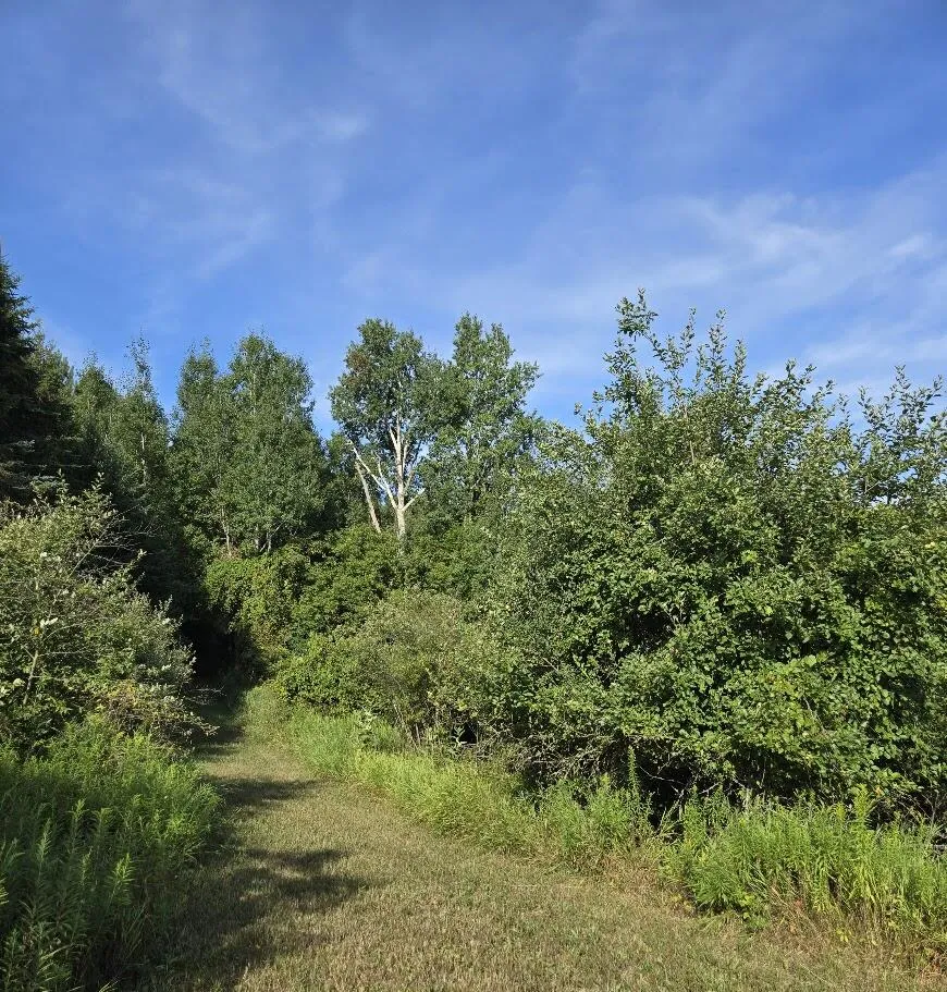 7202 21 Mile Road Chippewa Township, MI 49631