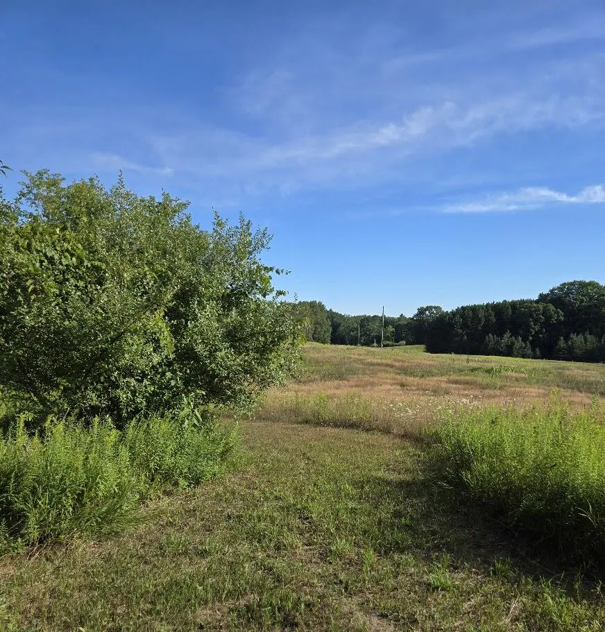 7202 21 Mile Road Chippewa Township, MI 49631