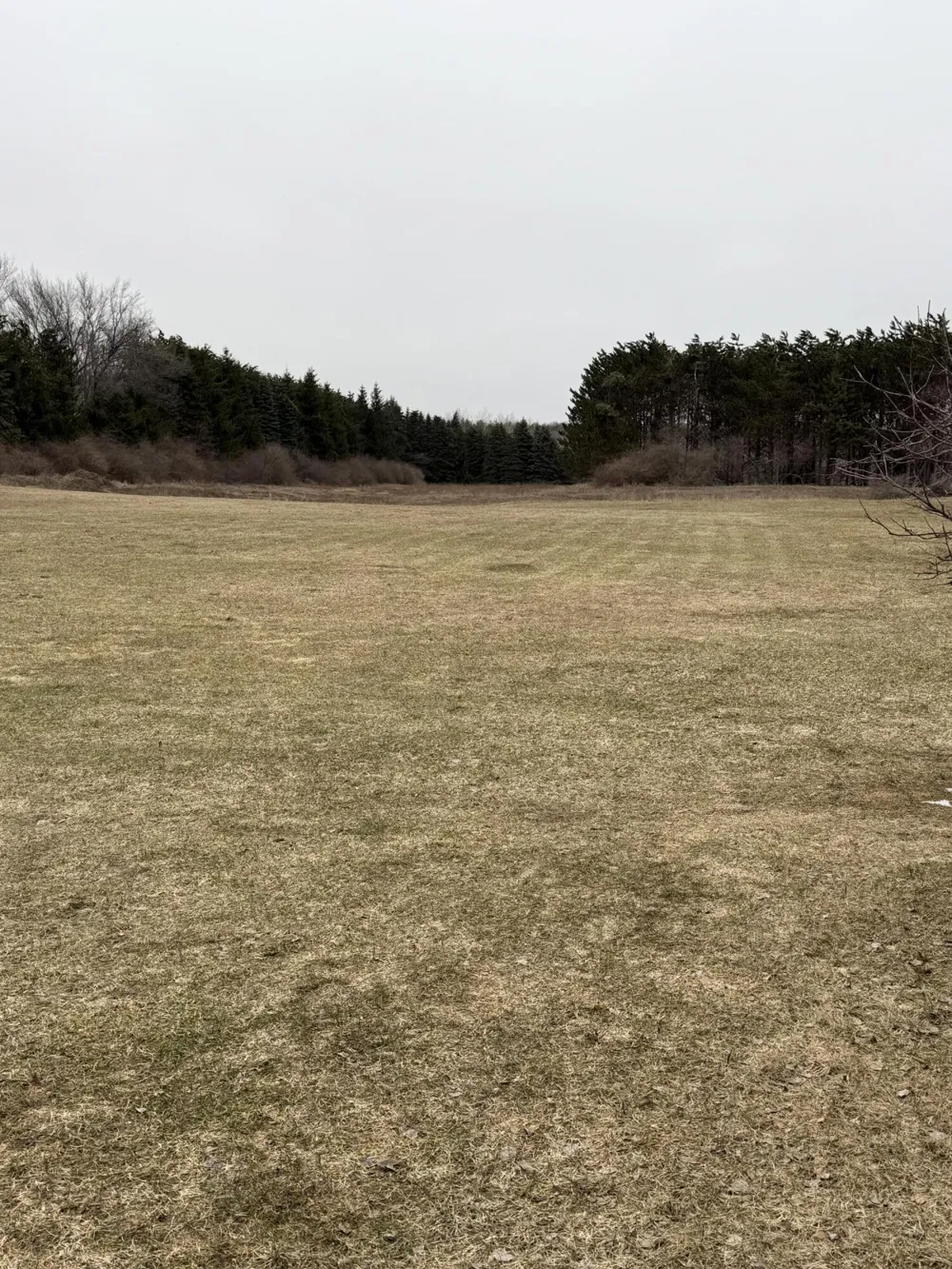 7202 21 Mile Road Chippewa Township, MI 49631