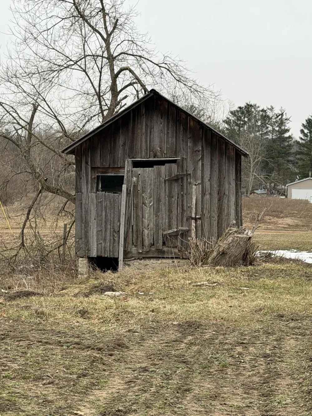 7202 21 Mile Road Chippewa Township, MI 49631