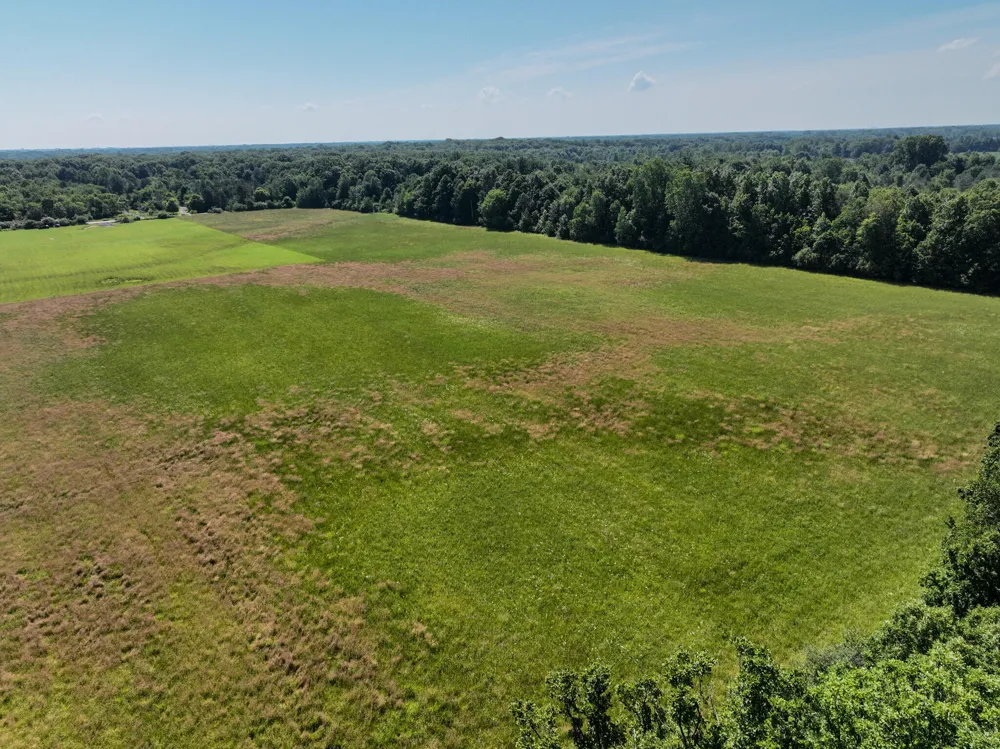 Mayer Road #Lot- 6 Wales, MI 48027