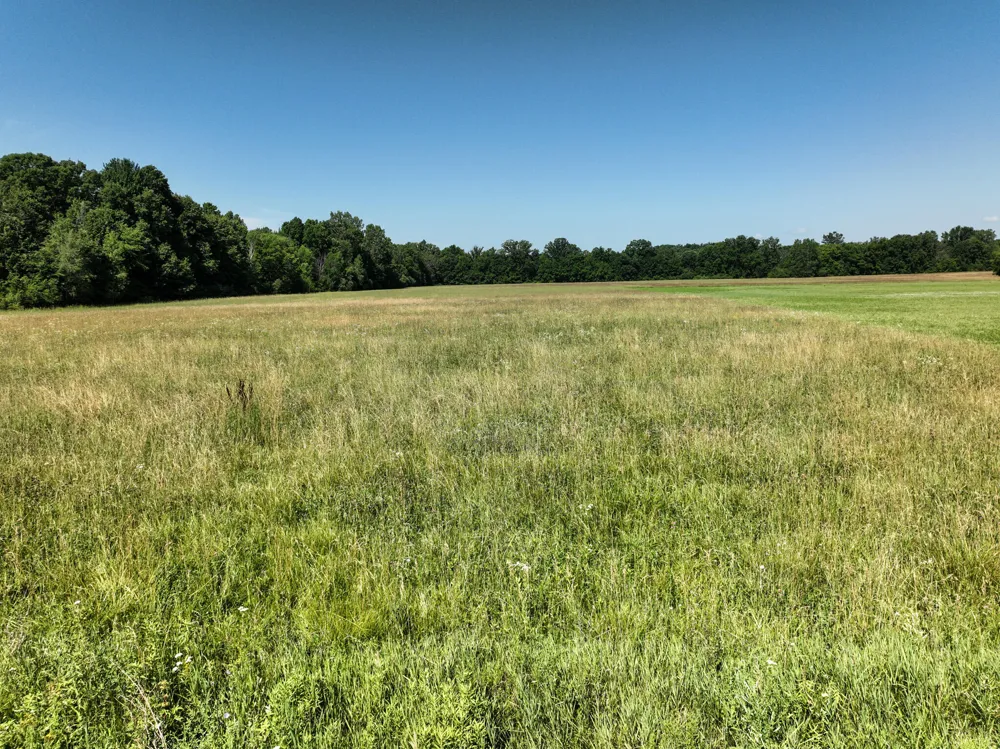 Mayer Road #Lot- 6 Wales, MI 48027