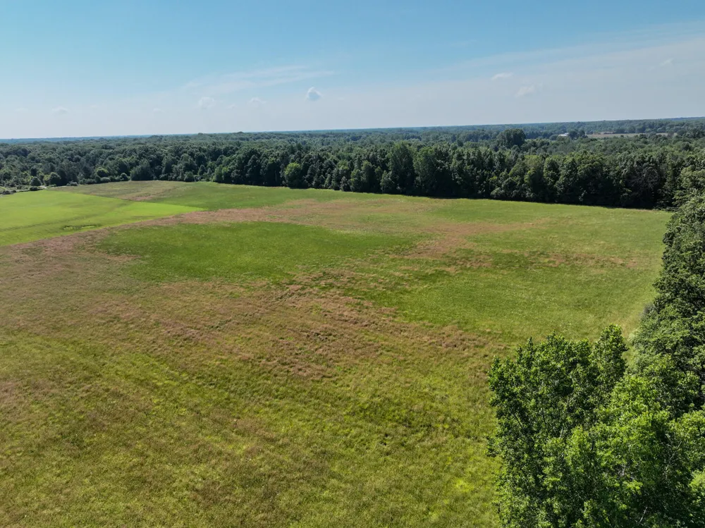 Mayer Road #Lot- 6 Wales, MI 48027