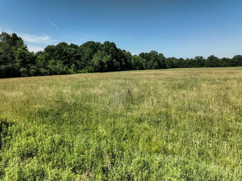 Mayer Road #Lot- 6 Wales, MI 48027