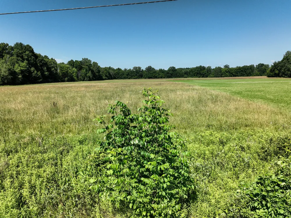 Mayer Road #Lot- 6 Wales, MI 48027