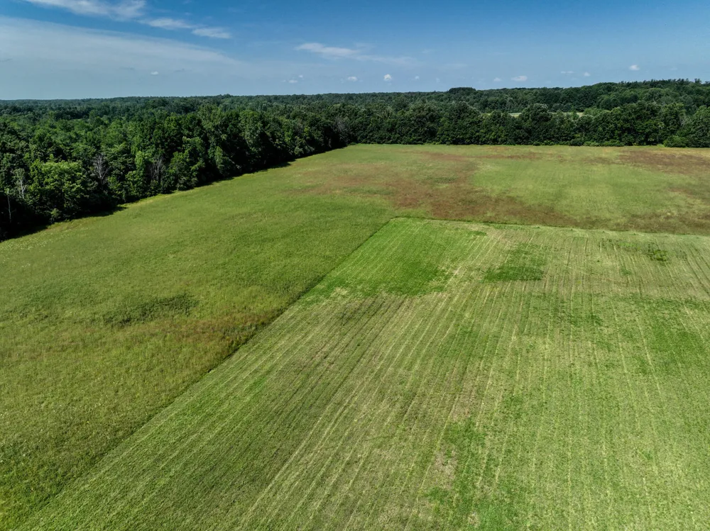 Mayer Road #Lot- 6 Wales, MI 48027