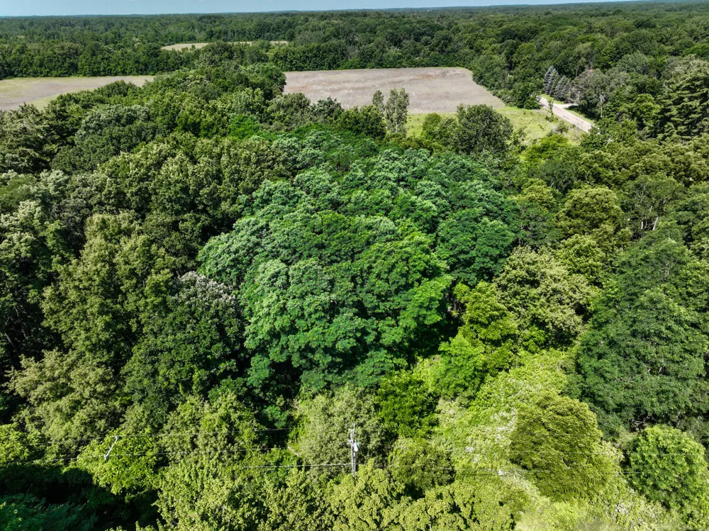 Sparling & Mayer Road #Lot- 4 Wales, MI 48027